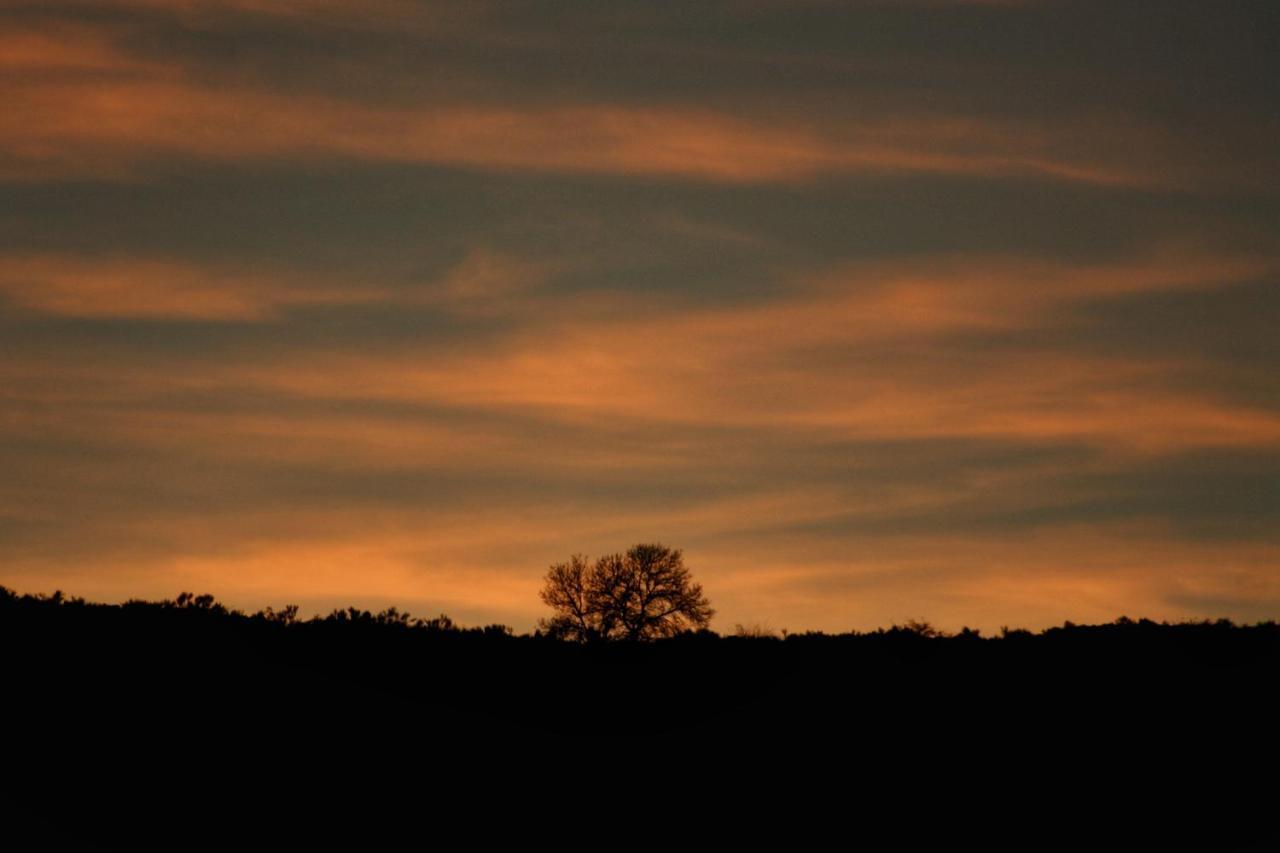 Gredos Estelar Navatalgordo Exterior foto